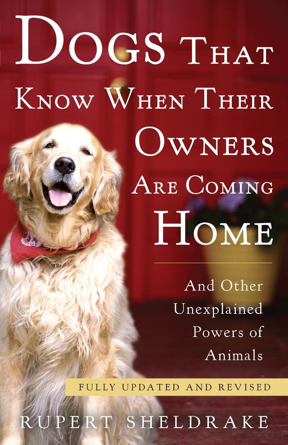 Dogs That Know When Their Owners Are Coming Home, 9780307885968