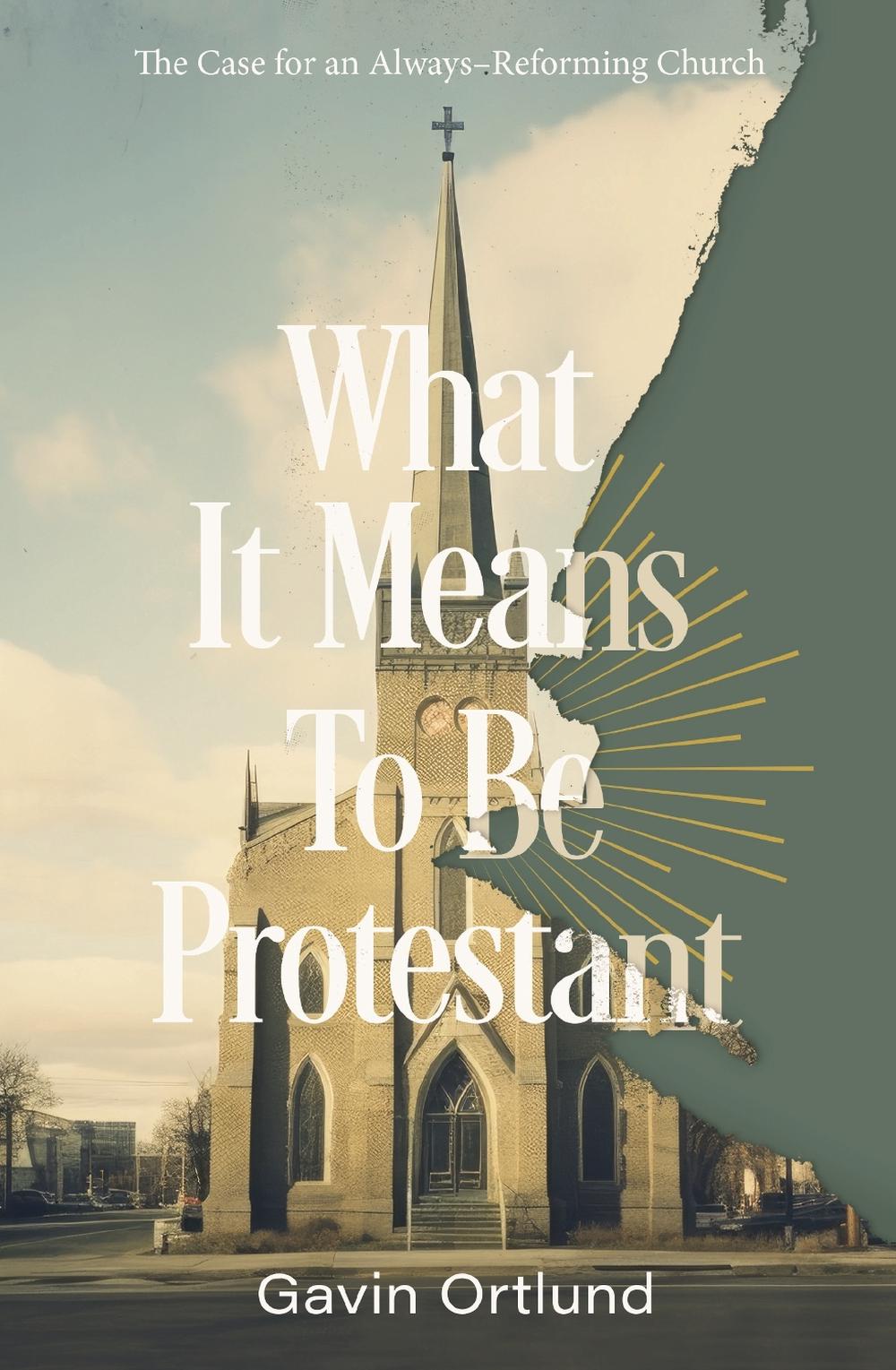 What It Means to Be Protestant, 9780310156321