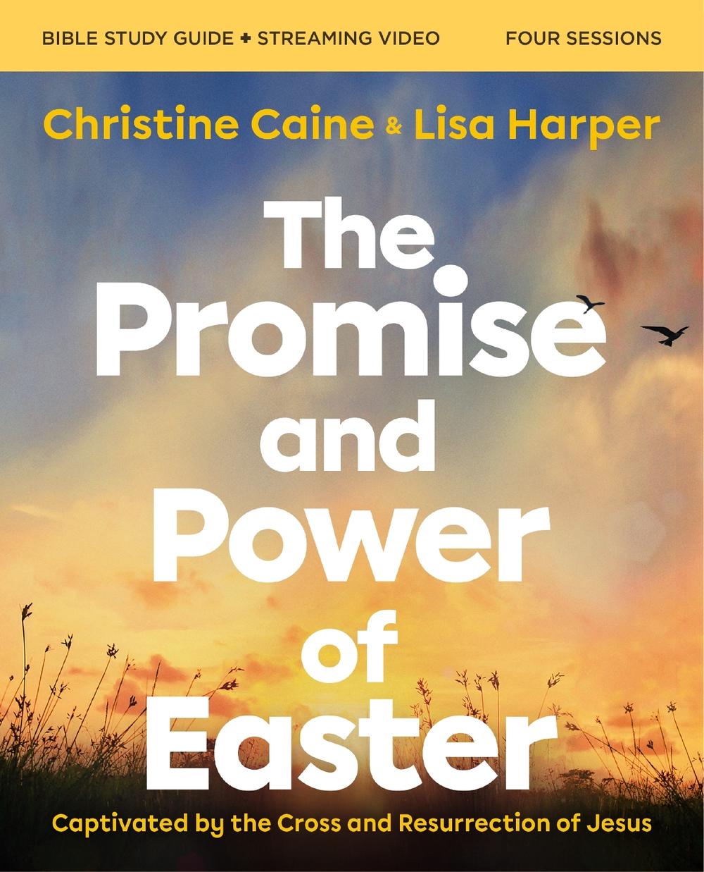 The Promise and Power of Easter Bible Study Guide plus Streaming Video, 9780310170099