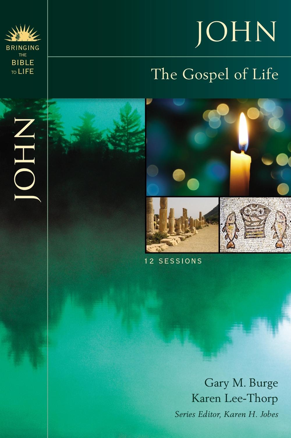 The Gospel of Lie by Joshua Lie