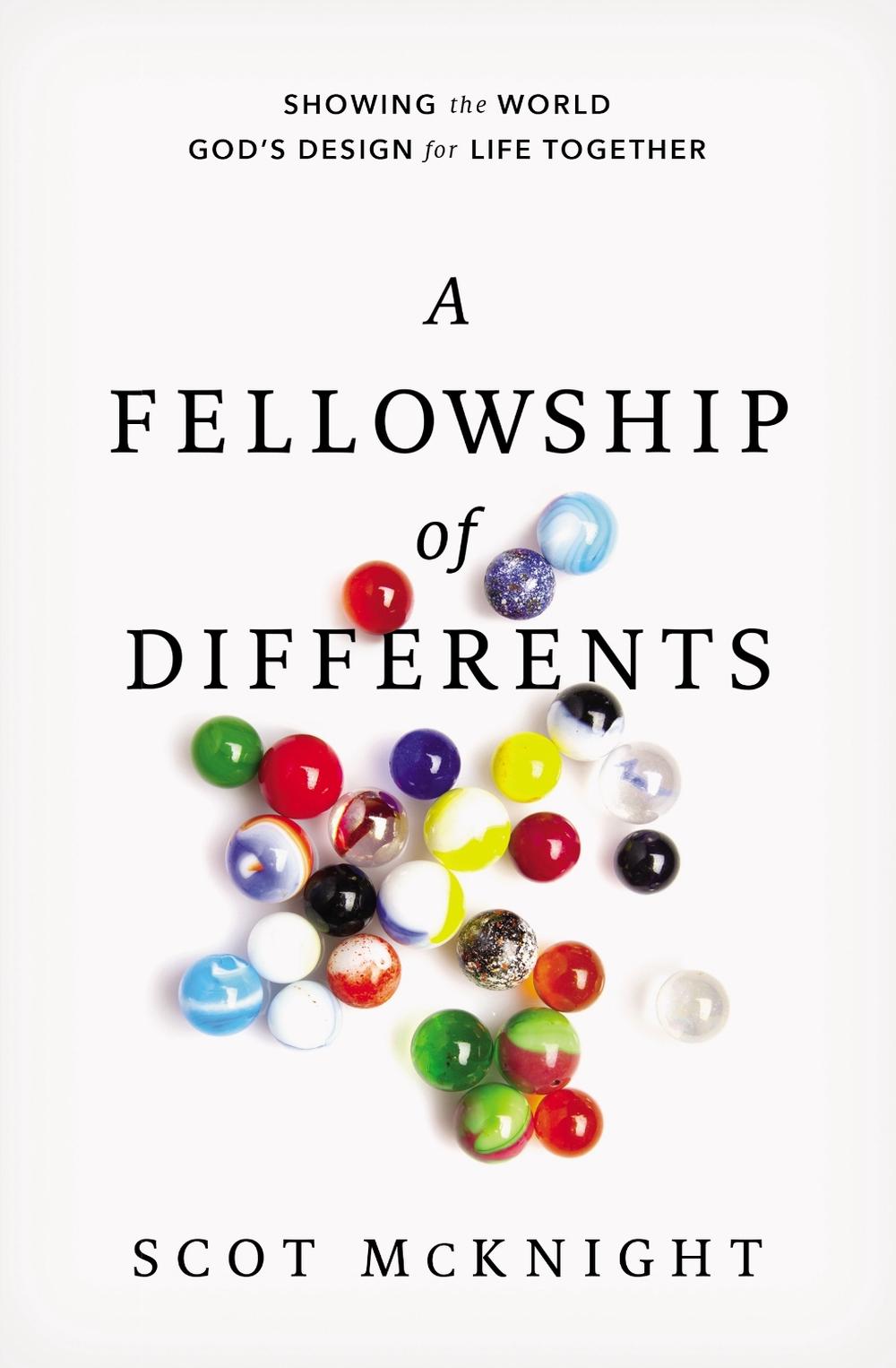 A Fellowship of Differents, 9780310277675