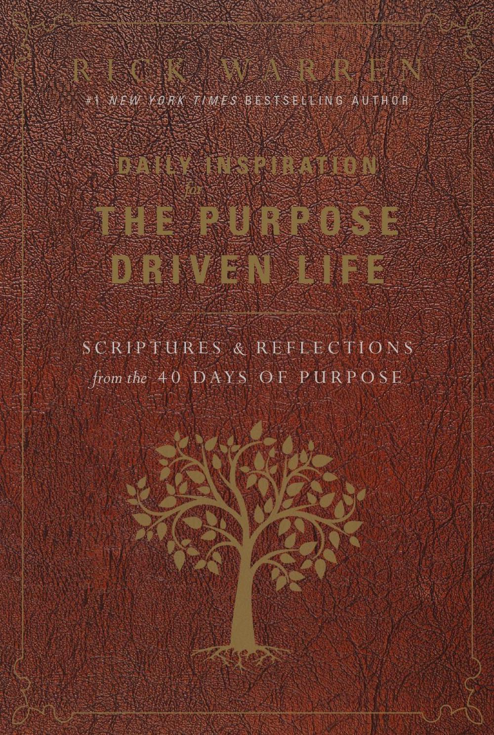 the purpose driven life day 4 the purpose driven life day 4