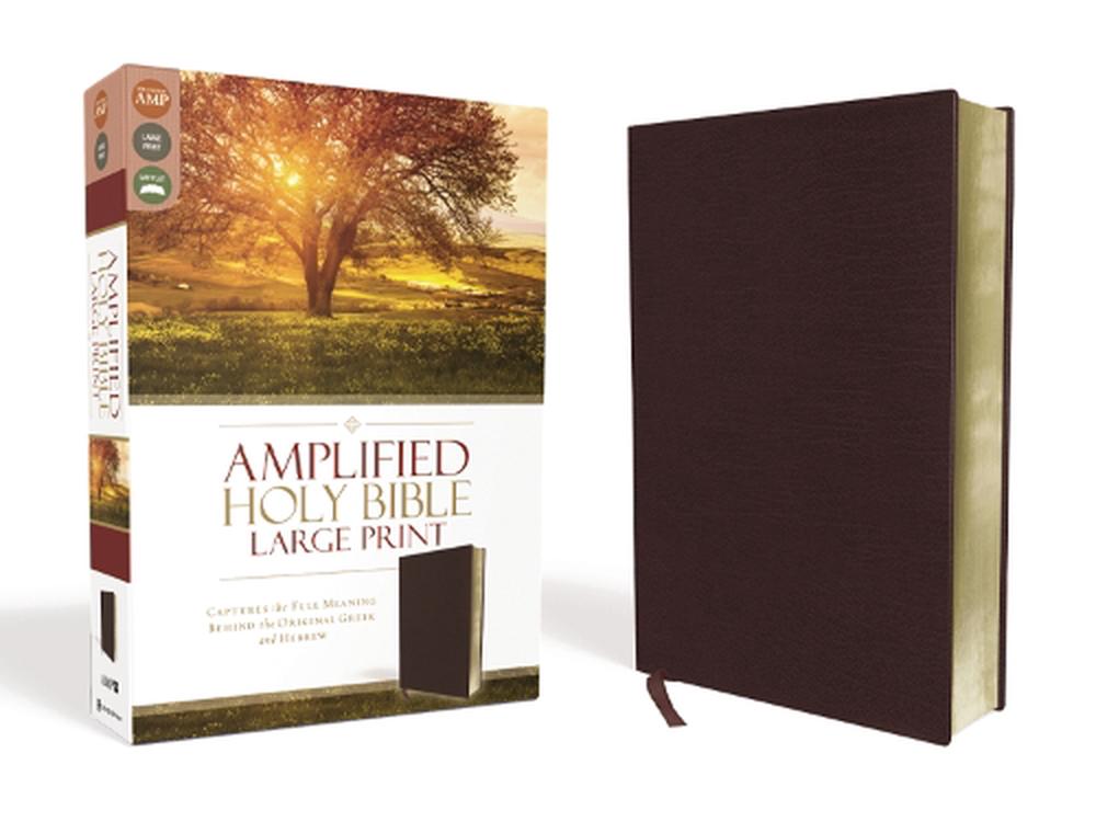 Amplified Holy Bible, Large Print, Bonded Leather, Burgundy by ...