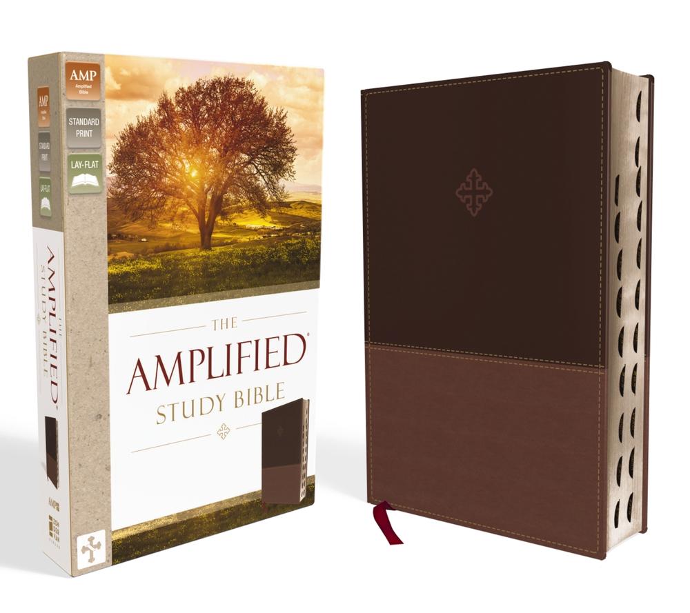 The Amplified Study Bible, 9780310444756