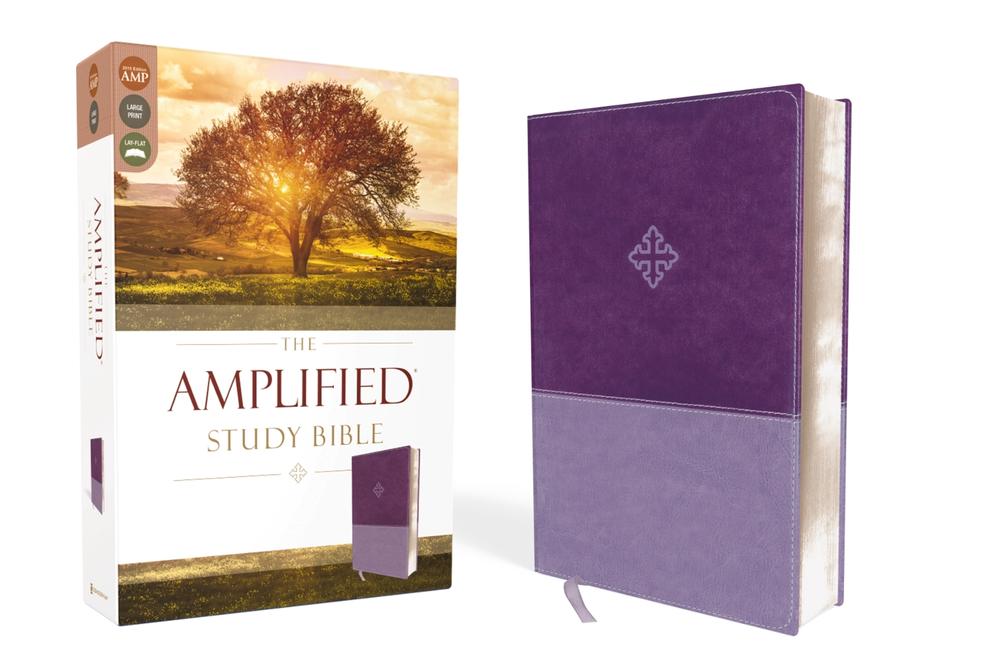 The Amplified Study Bible, Hardcover, 9780310446521