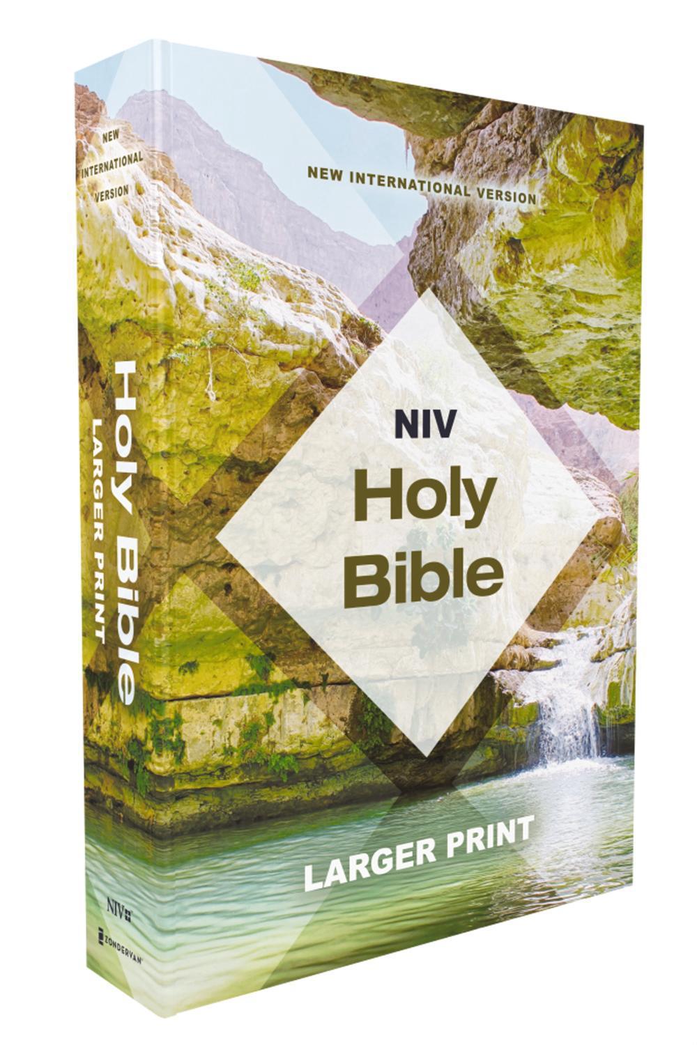 NIV, Holy Bible, Larger Print, Economy Edition, Paperback, Teal/Tan, Comfort Print, 9780310463900