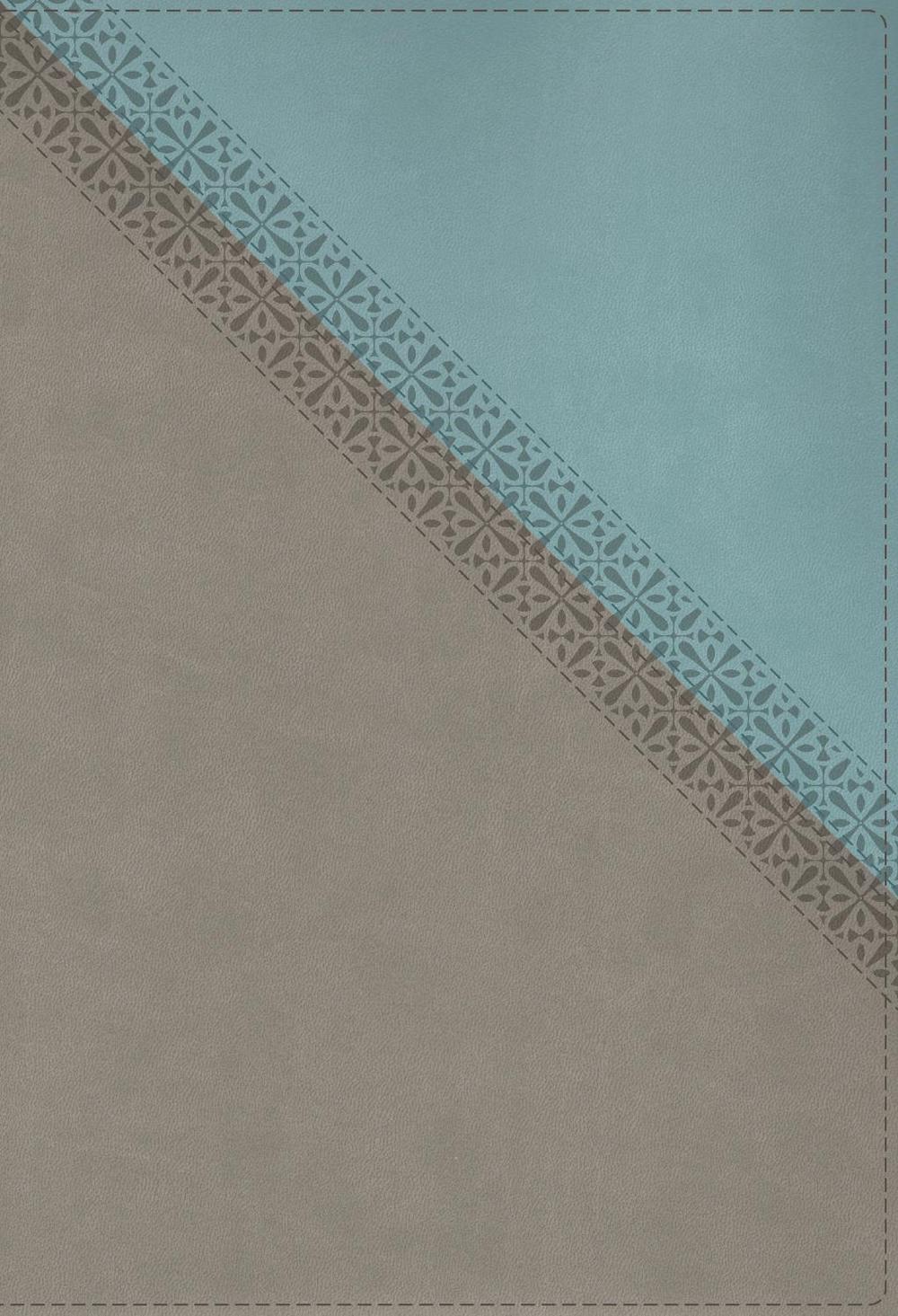 NIV Application Bible, Leathersoft, Teal/Grey, Red Letter, Thumb Indexed, Comfort Print, 9780310467731