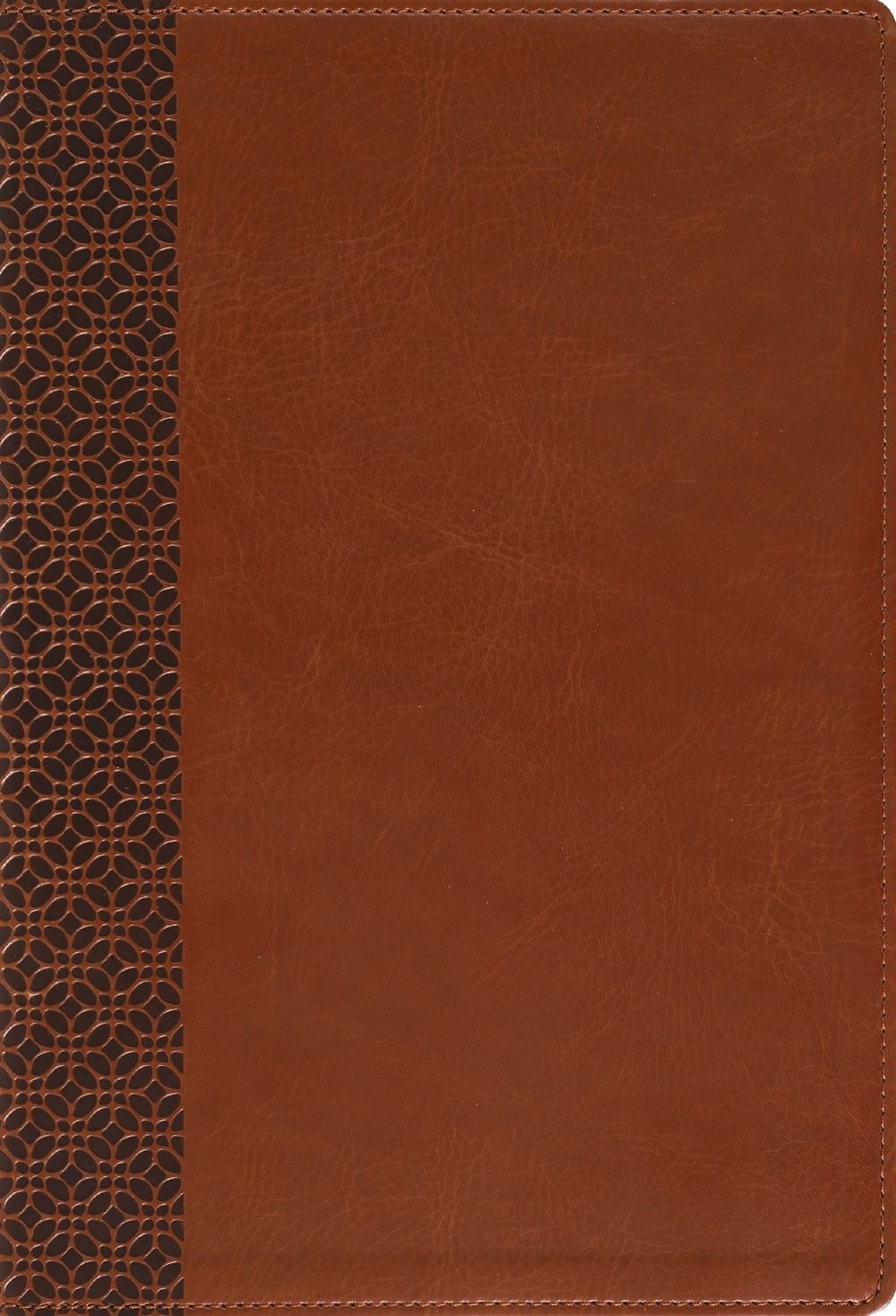 Amplified Holy Bible, Large Print, Leathersoft, Brown by Zondervan - ISBN: 9780310468936