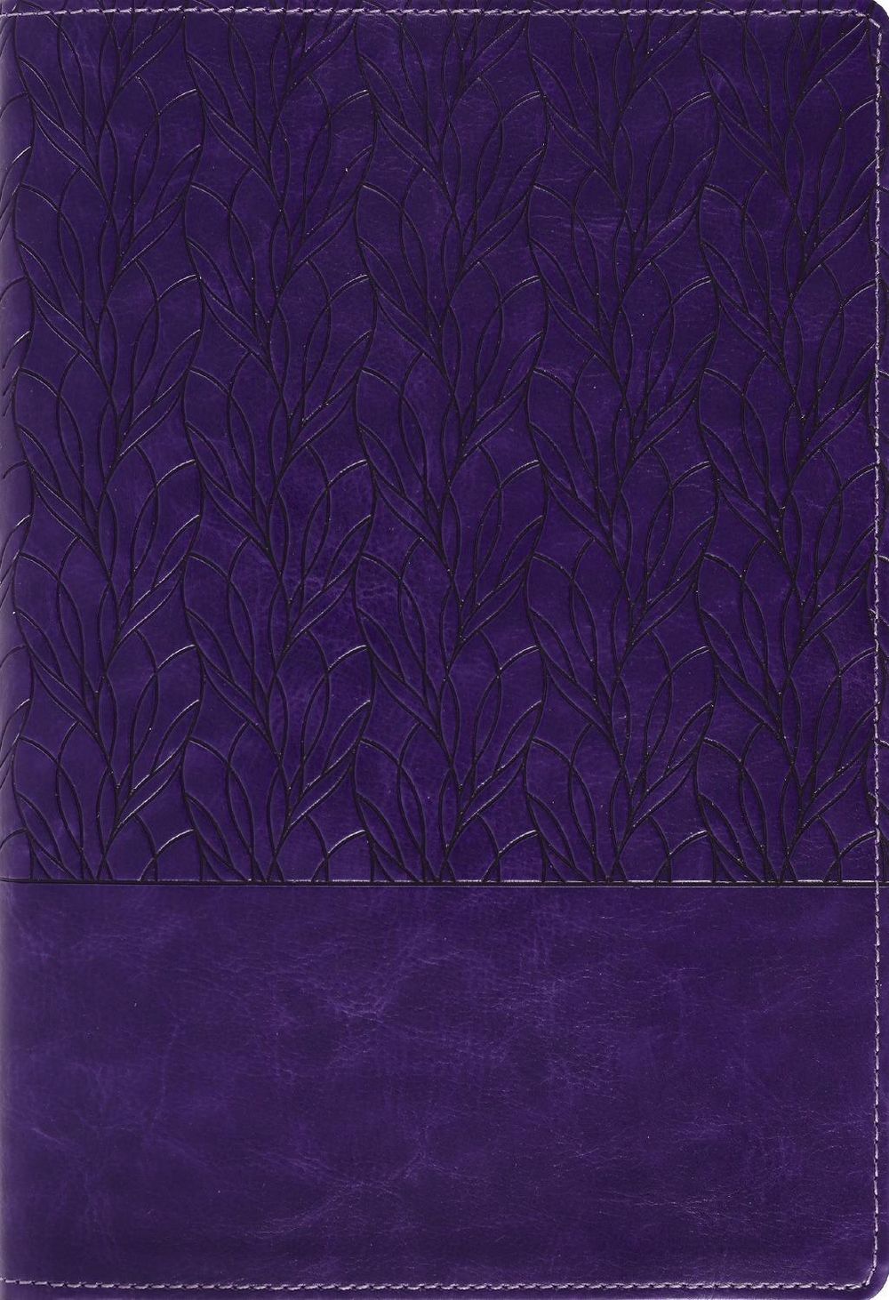 Amplified Holy Bible, Large Print, Leathersoft, Purple by Zondervan - ISBN: 9780310468943