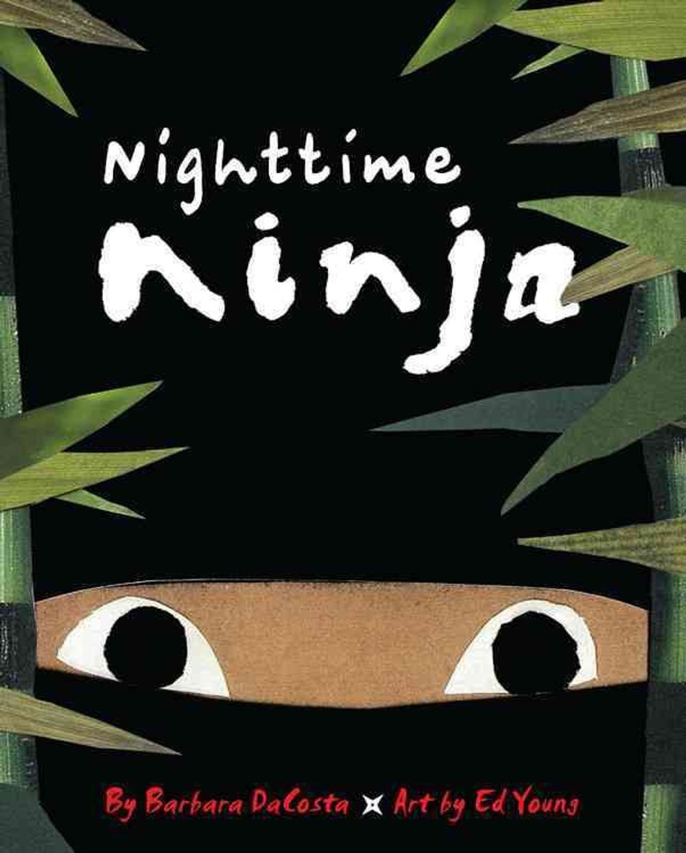 Nighttime Ninja by Barbara Dacosta - ISBN: 9780316203845