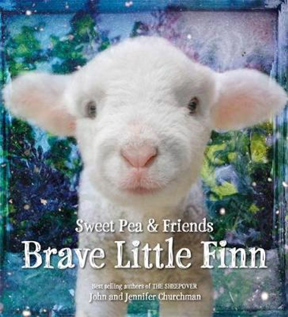 Brave Little Finn by Jennifer Churchman - ISBN: 9780316273596