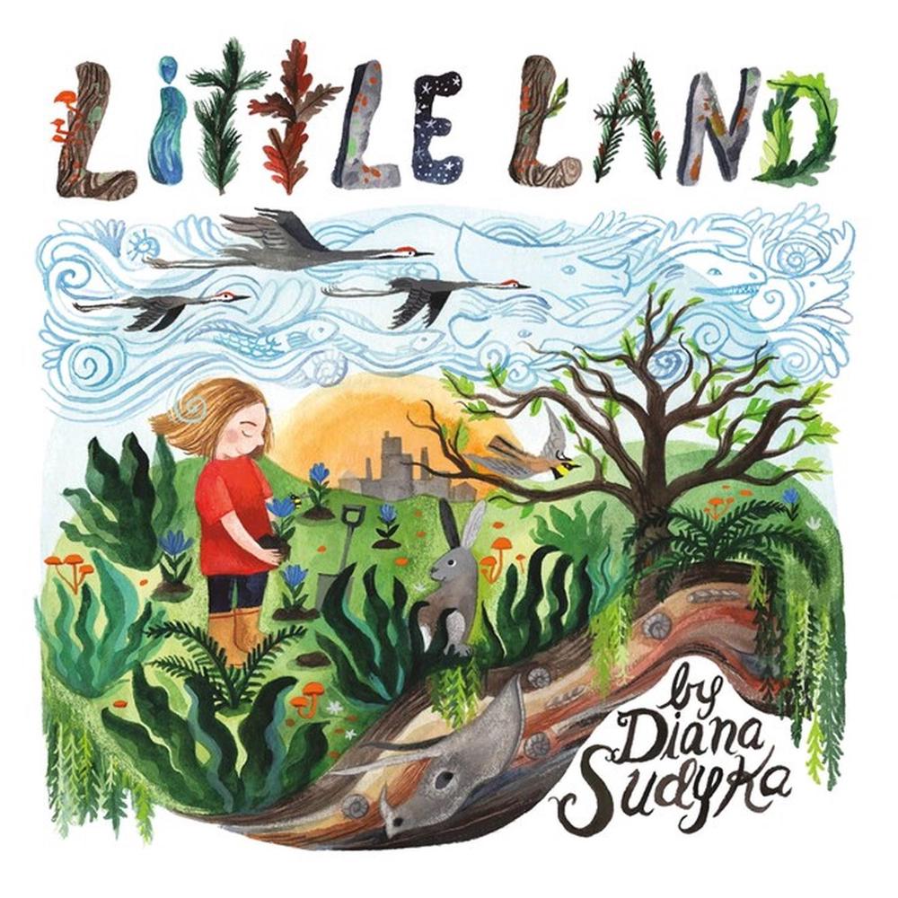 Little Land by Diana Sudyka - ISBN: 9780316301763