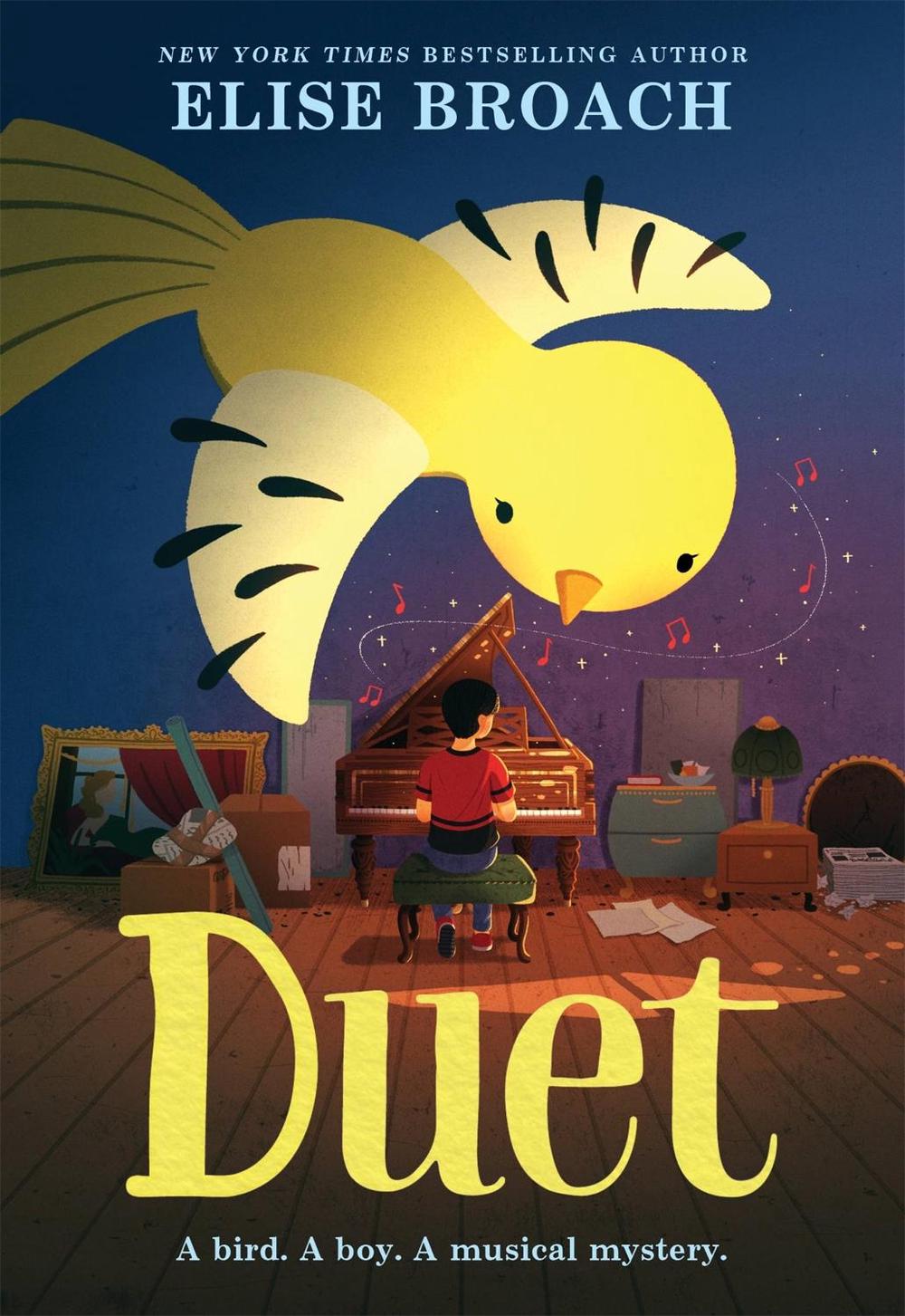 Duet by Elise Broach - ISBN: 9780316311359