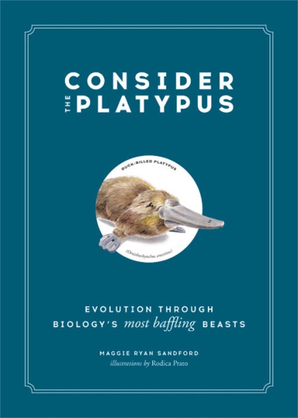 Consider the Platypus by Maggie Ryan Sandford - ISBN: 9780316418393