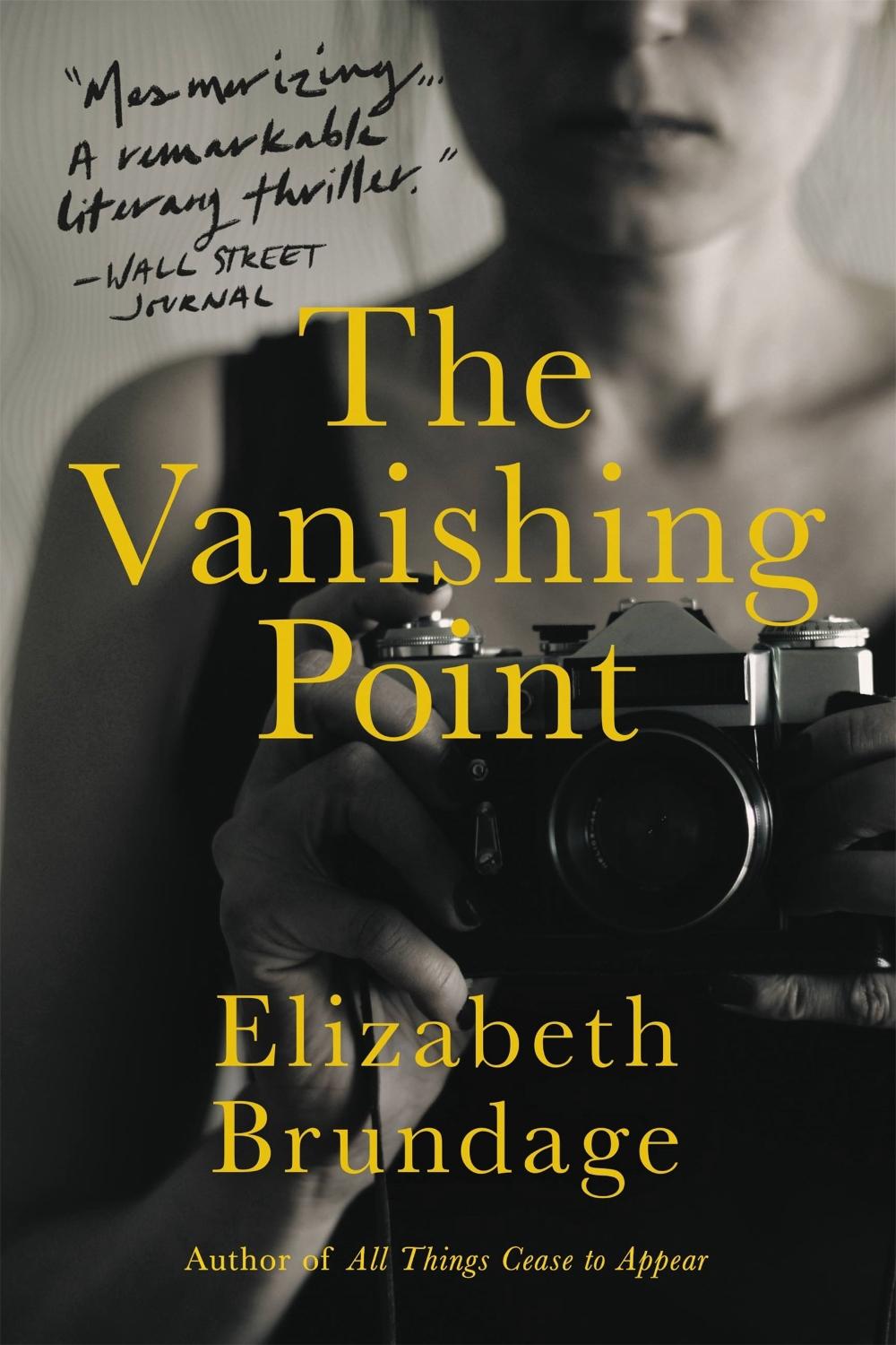The Vanishing Point by Elizabeth Brundage - ISBN: 9780316430388