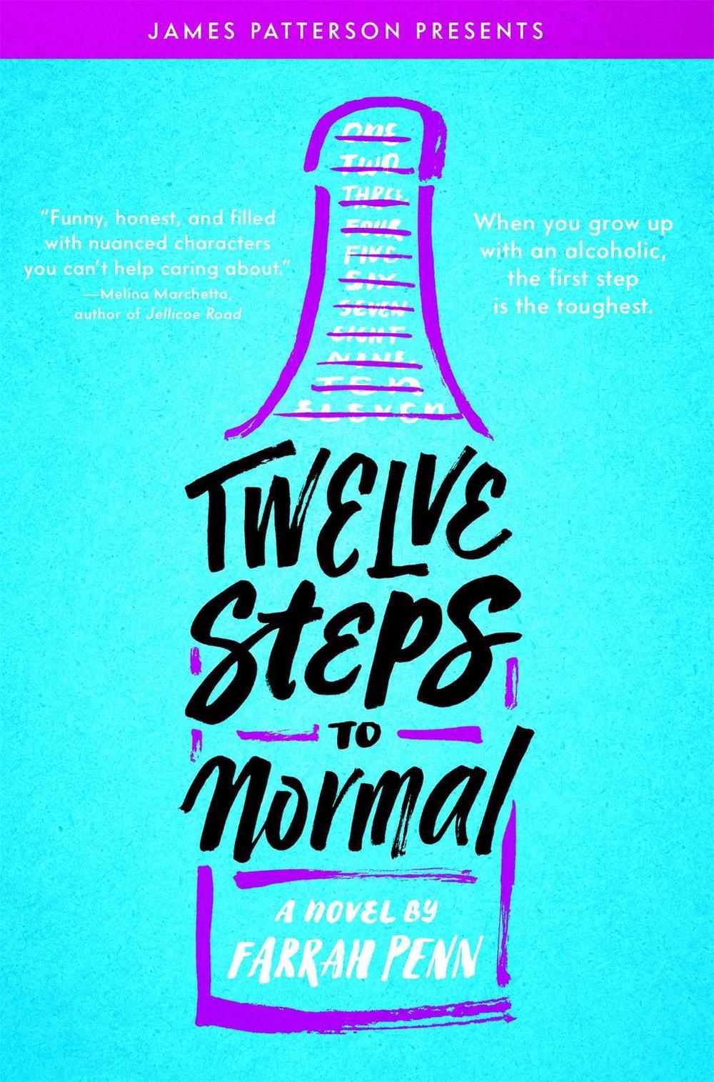 Twelve Steps to Normal, 9780316471602