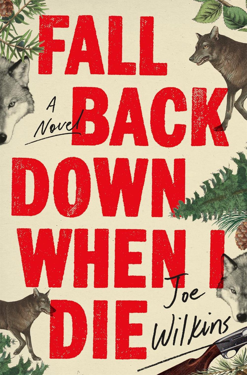 Fall Back Down When I Die by Joe Wilkins - ISBN: 9780316475341