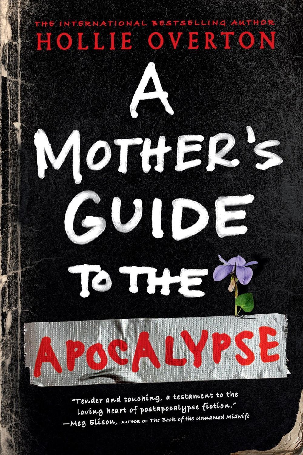 A Mother's Guide to the Apocalypse, 9780316482387