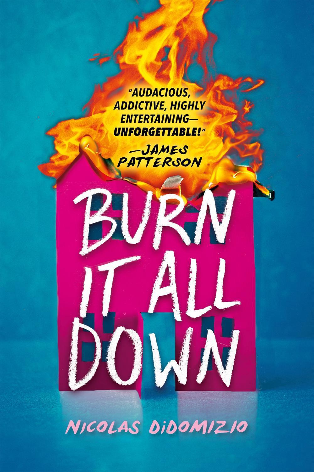 Burn It All Down by Nicolas DiDomizio - ISBN: 9780316496957