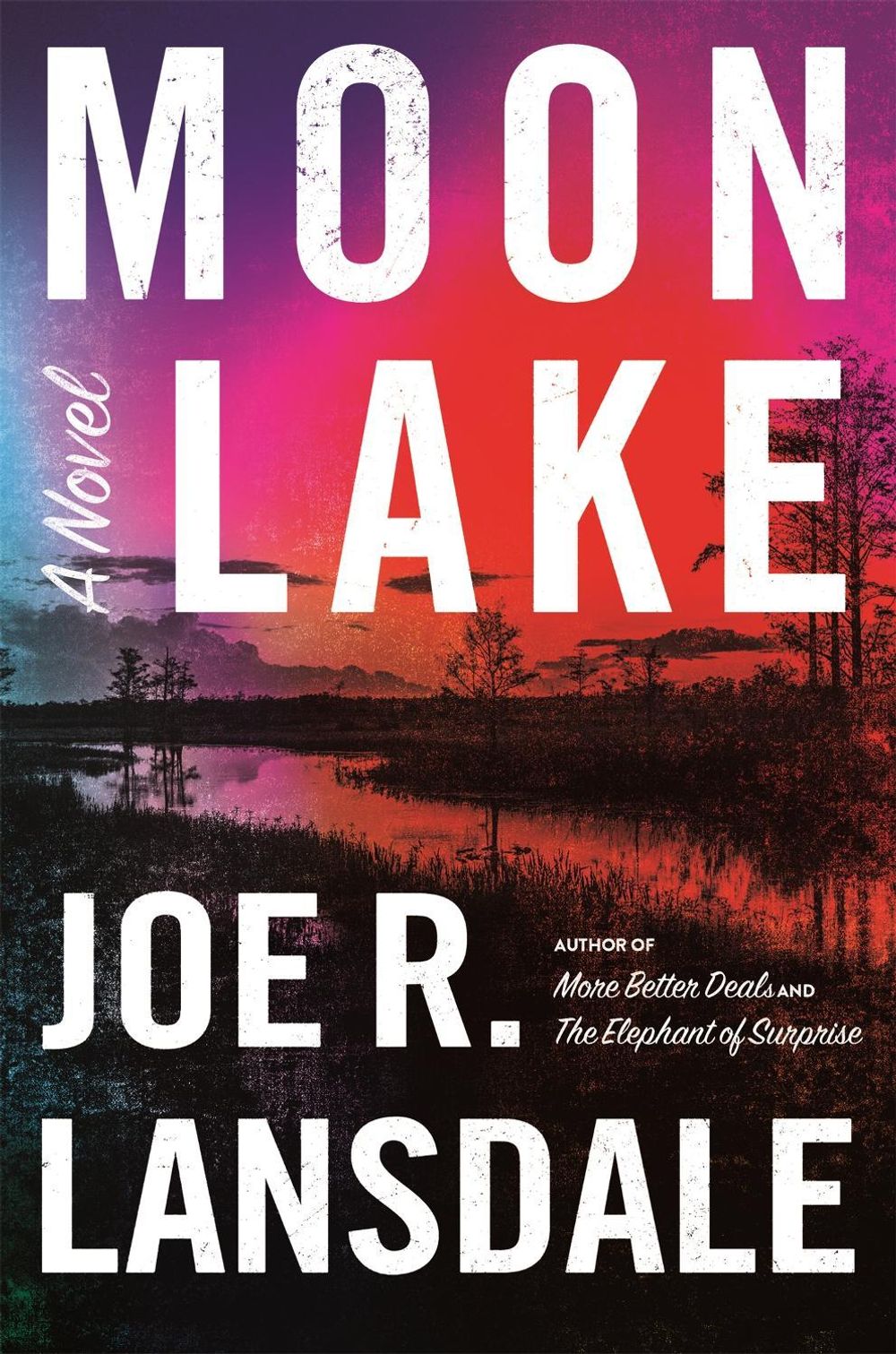Moon Lake by Joe R. Lansdale - ISBN: 9780316540643