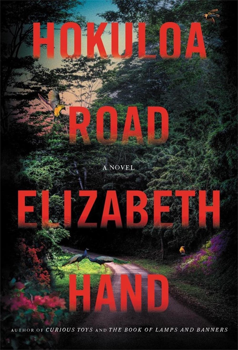 Hokuloa Road by Elizabeth Hand - ISBN: 9780316542043