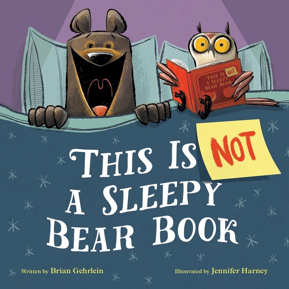 This Is Not a Sleepy Bear Book by Brian Gehrlein - ISBN: 9780316567596