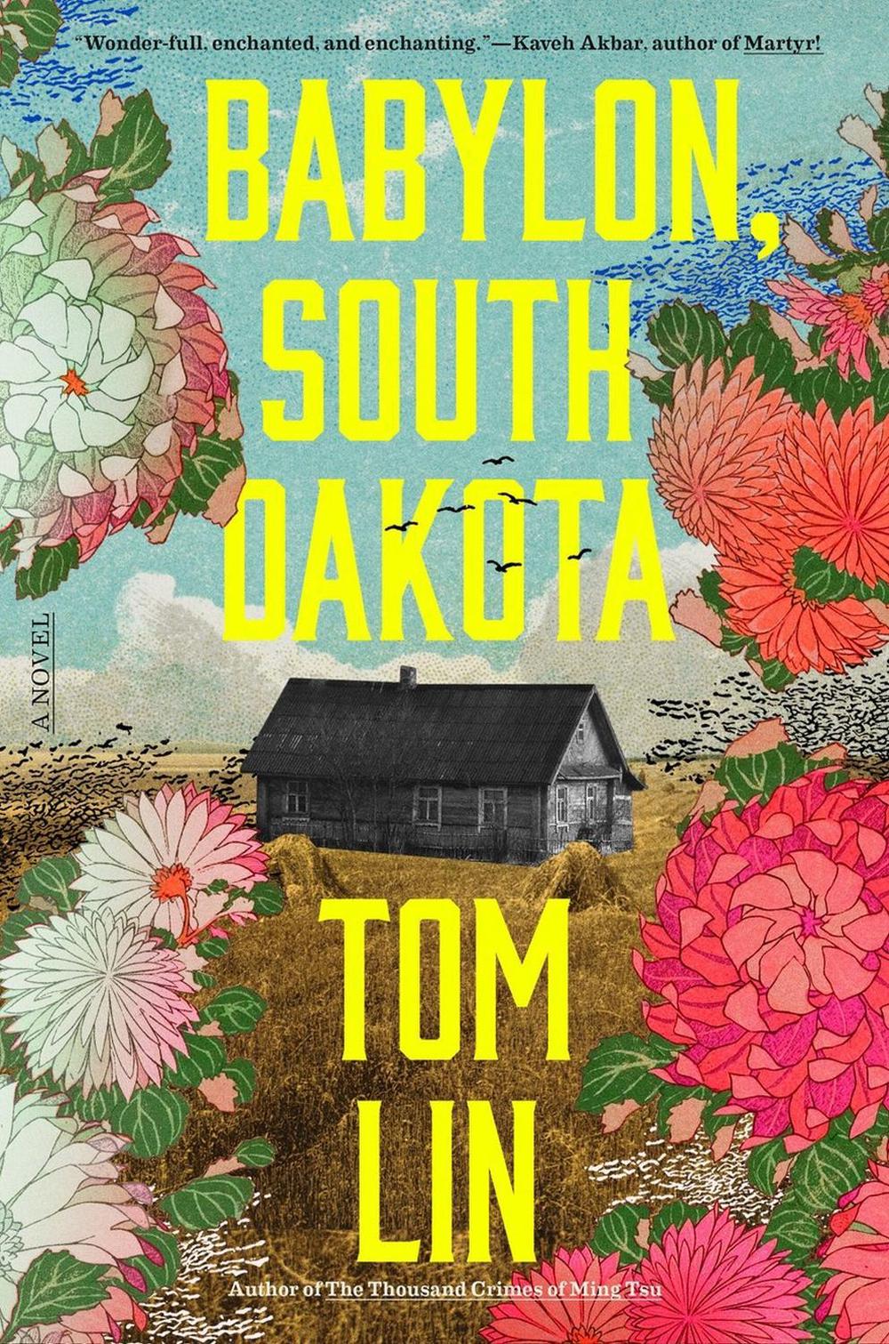 Babylon, South Dakota by Tom Lin - ISBN: 9780316576277