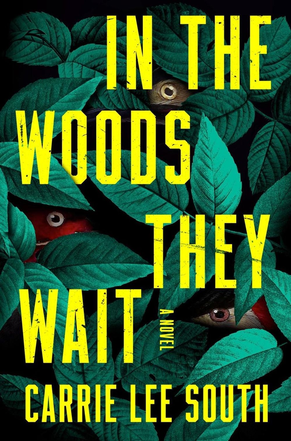 In the Woods They Wait by Carrie Lee South - ISBN: 9780316615679