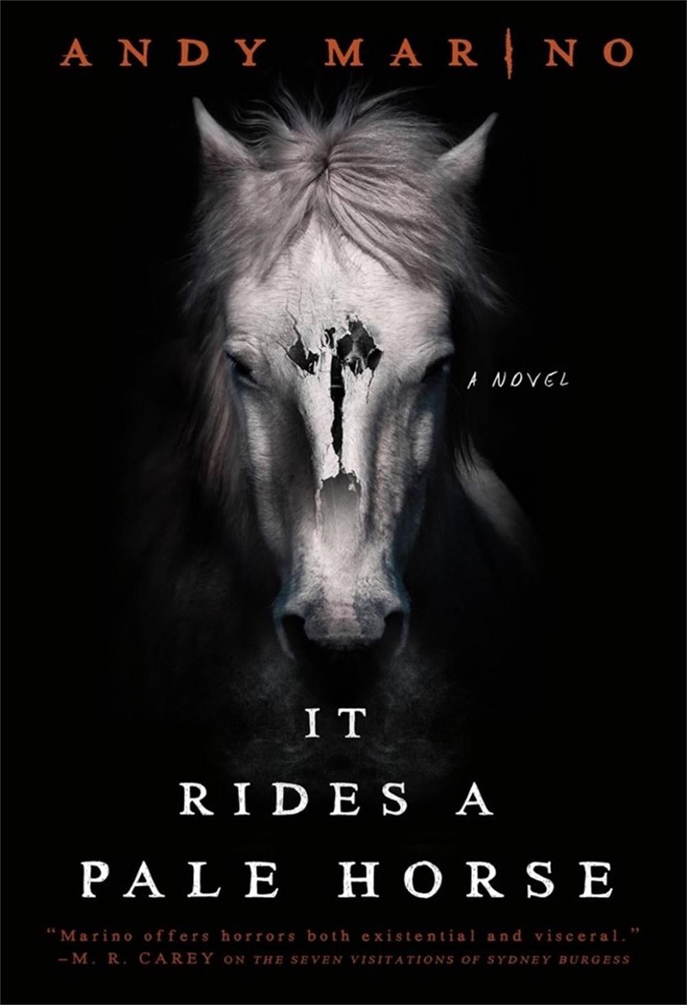 It Rides a Pale Horse by Andy Marino - ISBN: 9780316629522