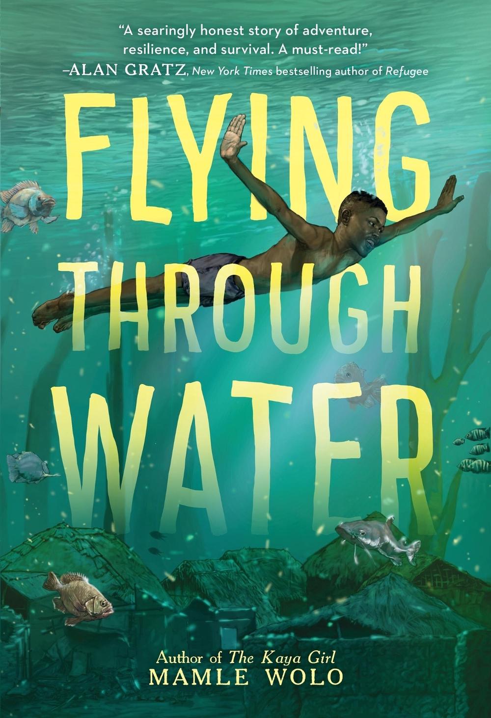 Flying Through Water by Mamle Wolo - ISBN: 9780316703963