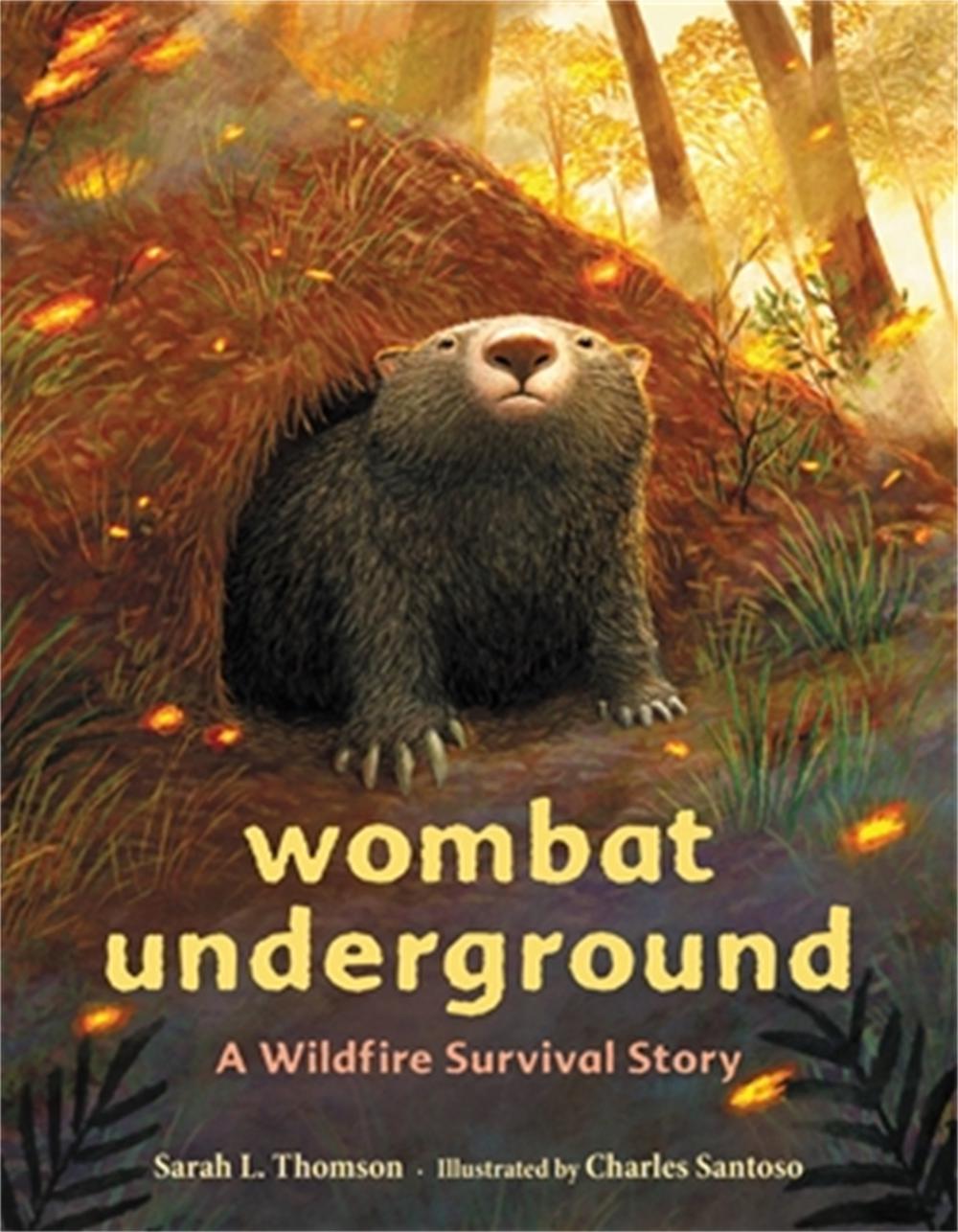 Wombat Underground by Sarah L. Thomson - ISBN: 9780316707060