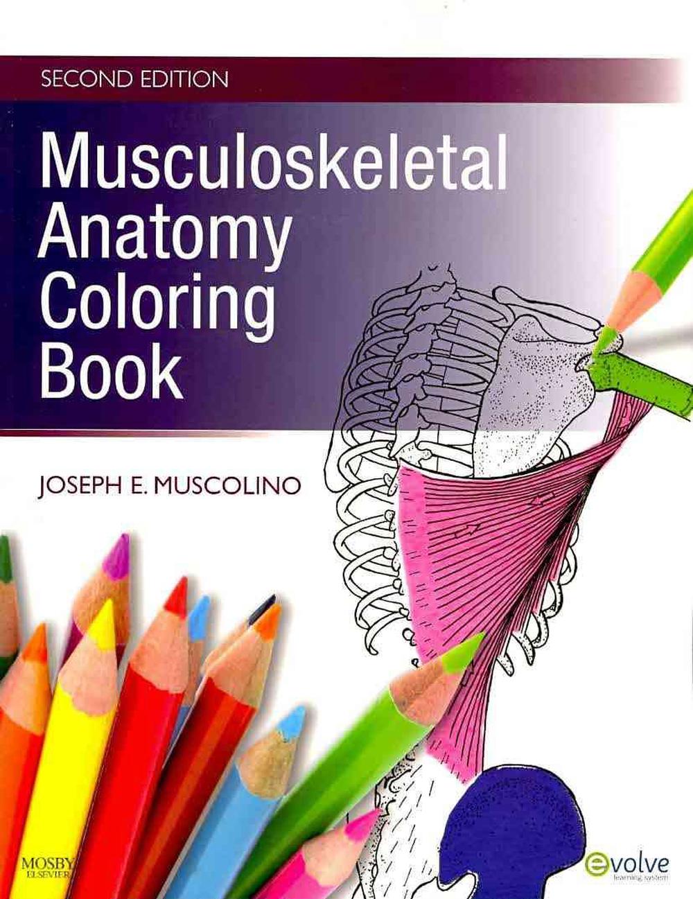 Musculoskeletal Anatomy Coloring Book by Joseph E. Muscolino, Paperback