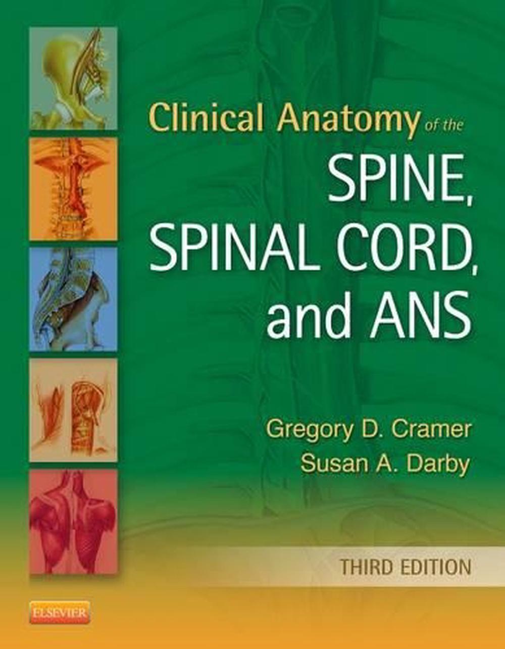 Clinical Anatomy of the Spine, Spinal Cord, and ANS, 3rd Edition by Gregory D. Cramer - ISBN: 9780323079549