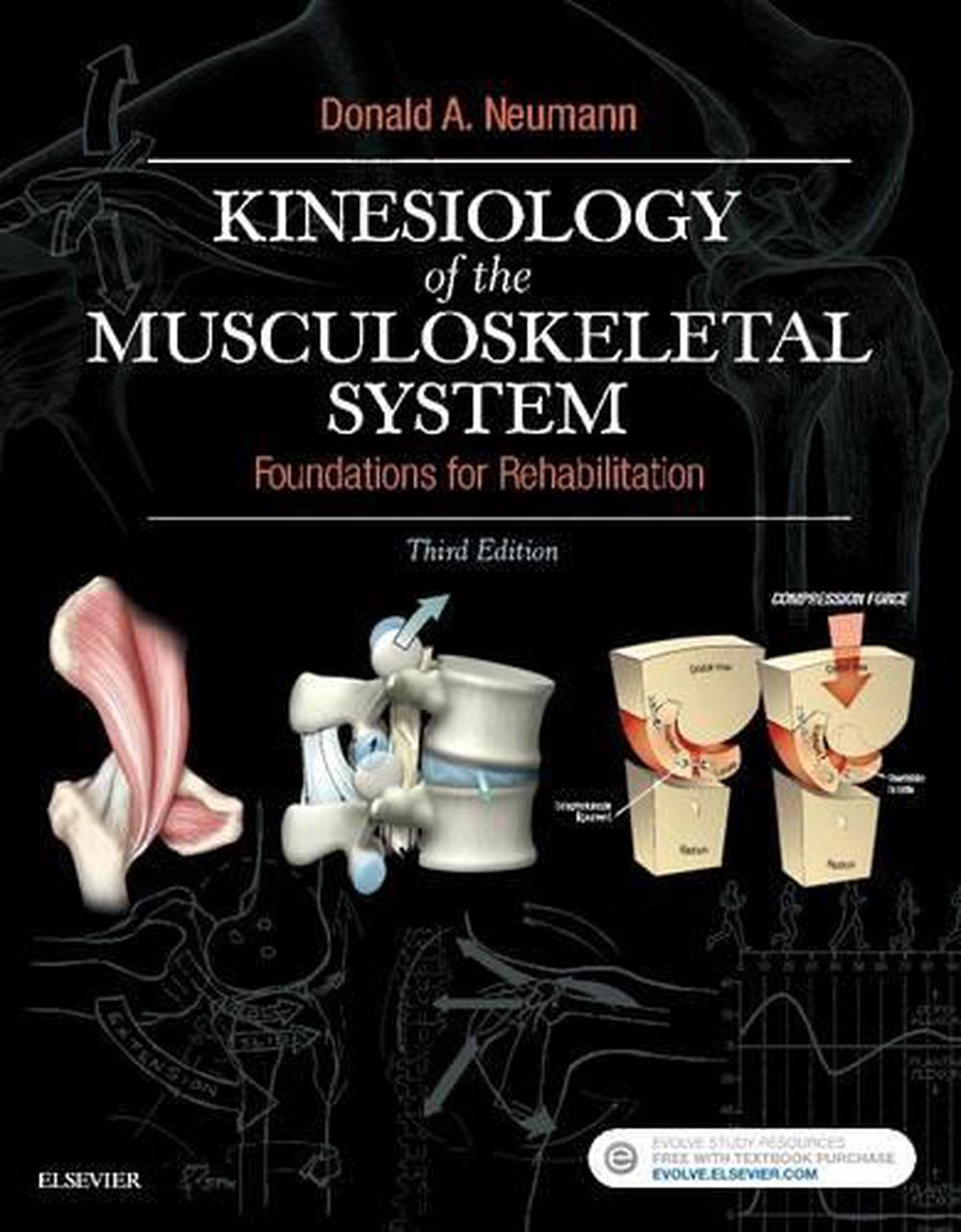 Kinesiology of the Musculoskeletal System, 3rd Edition by Donald A