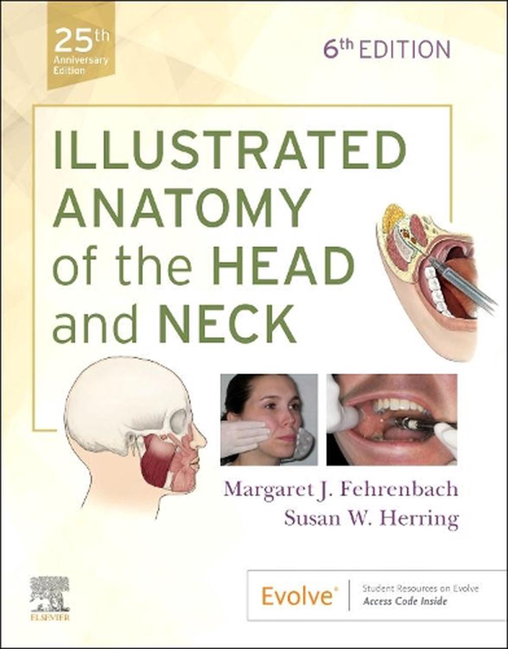 Illustrated Anatomy Of The Head And Neck, 6th Edition By Margaret J ...