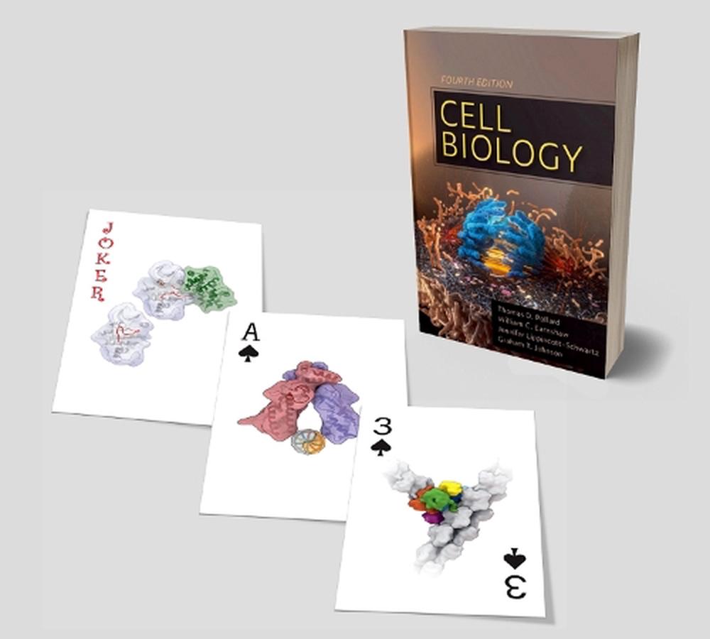 Cell Biology Playing Cards, 9780323655583