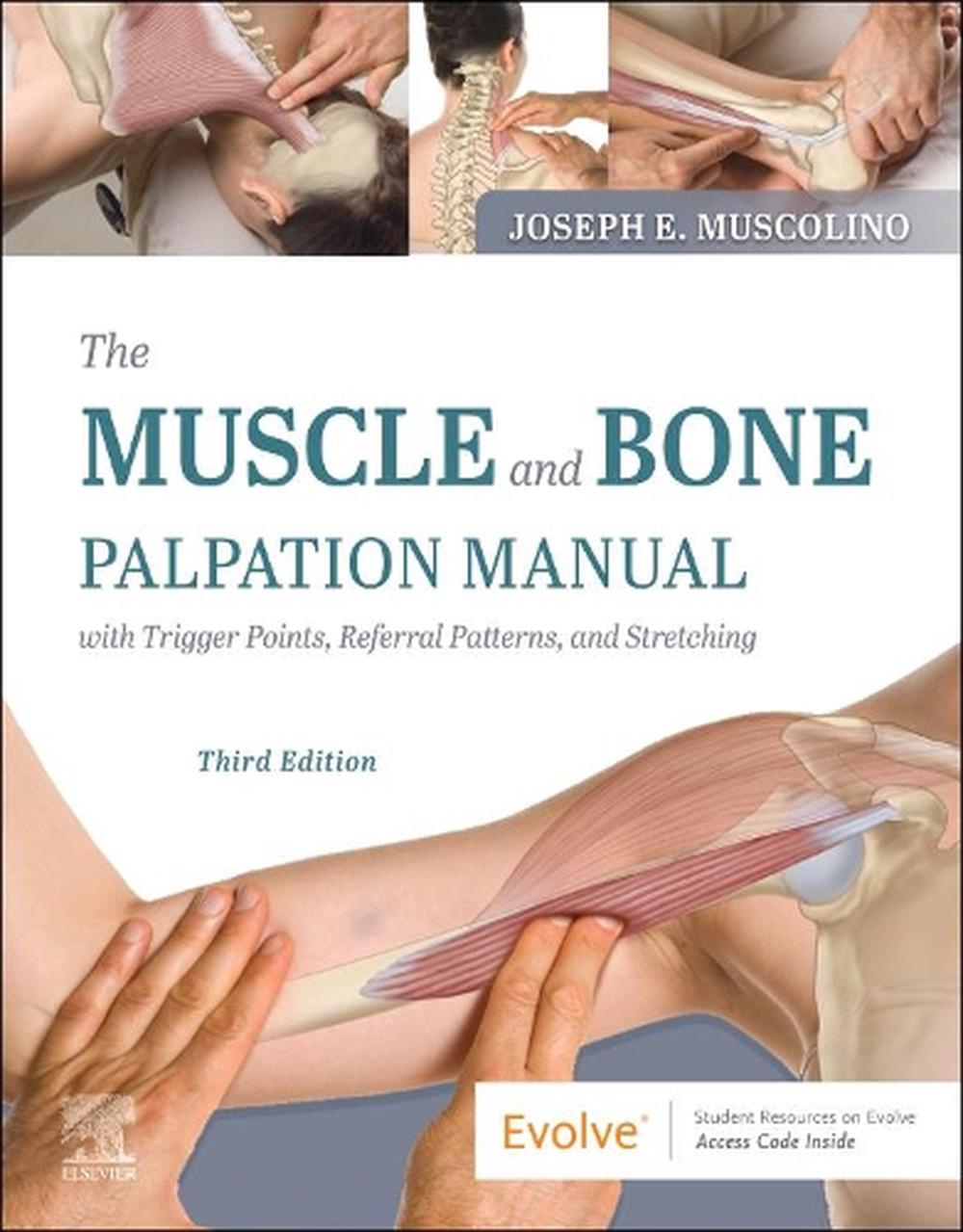 The Muscle and Bone Palpation Manual With Trigger Points, Referral Patterns and Stretching, 9780323761369