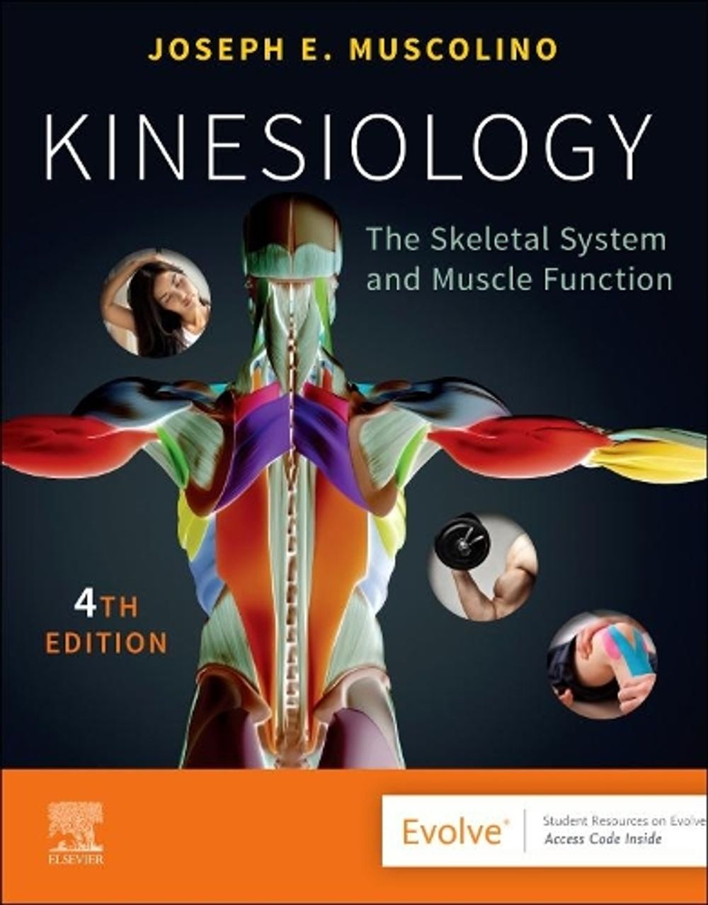 Kinesiology, 4th Edition by Joseph E. Muscolino - ISBN: 9780323812764