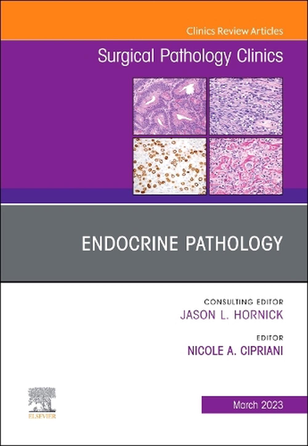 Endocrine Pathology, An Issue of Surgical Pathology Clinics, 9780323960731