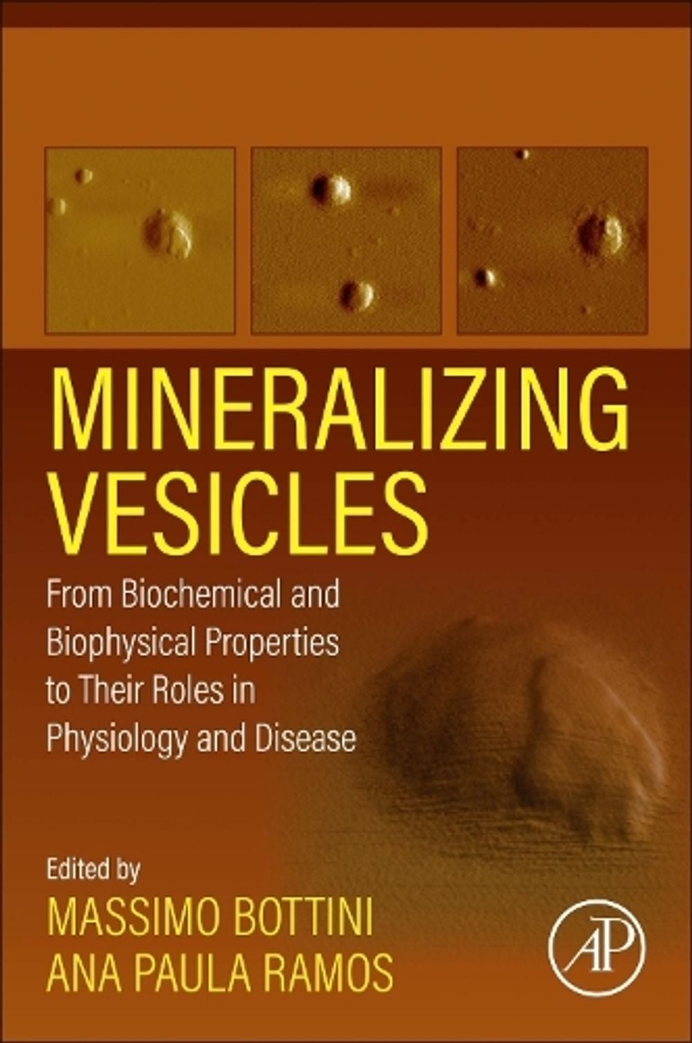 Mineralizing Vesicles by Massimo Bottini - ISBN: 9780323991582