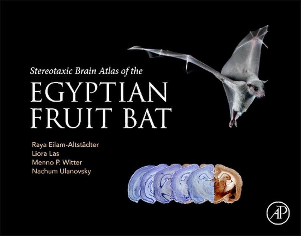 Stereotaxic Brain Atlas of the Egyptian Fruit Bat, 9780323996129