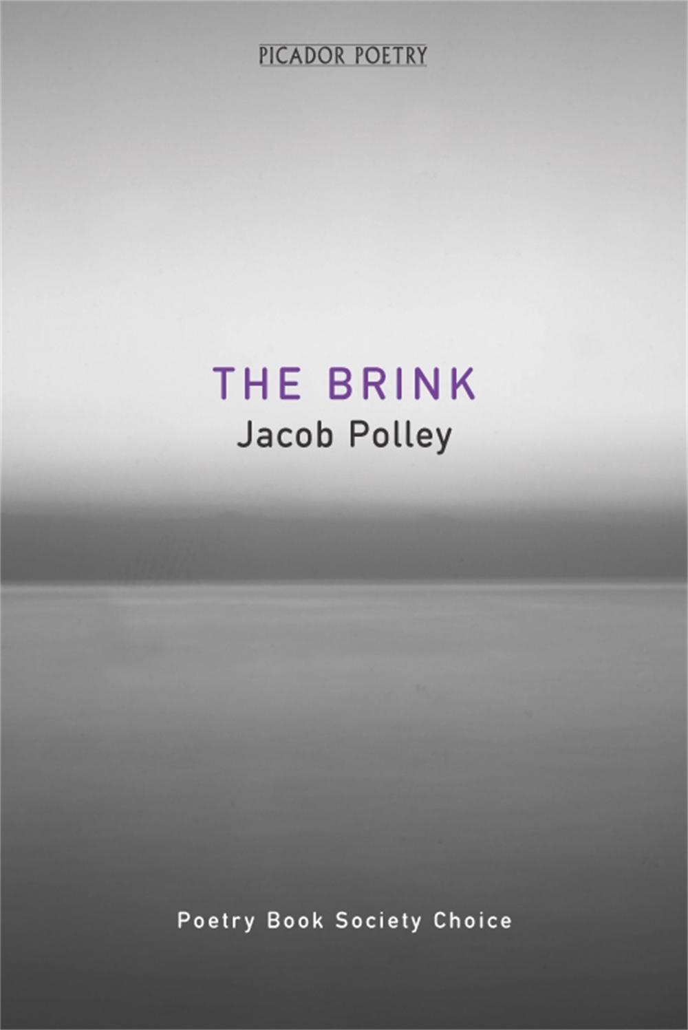 The Brink by Jacob Polley - ISBN: 9780330412889