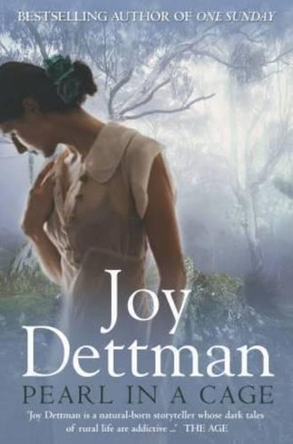 Pearl in a Cage: A Woody Creek Novel 1 by Joy Dettman - ISBN: 9780330425667