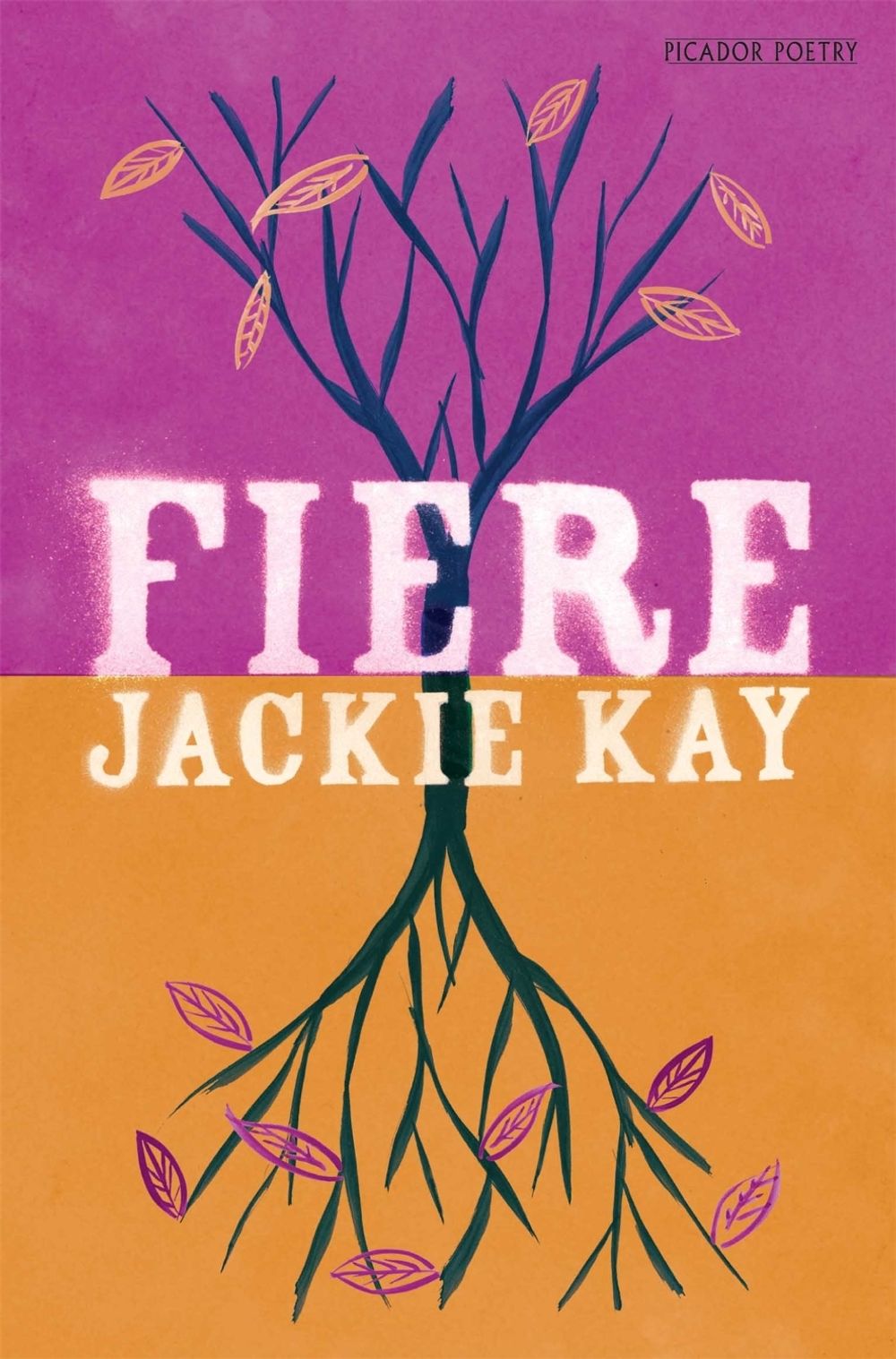 Fiere by Jackie Kay - ISBN: 9780330513371
