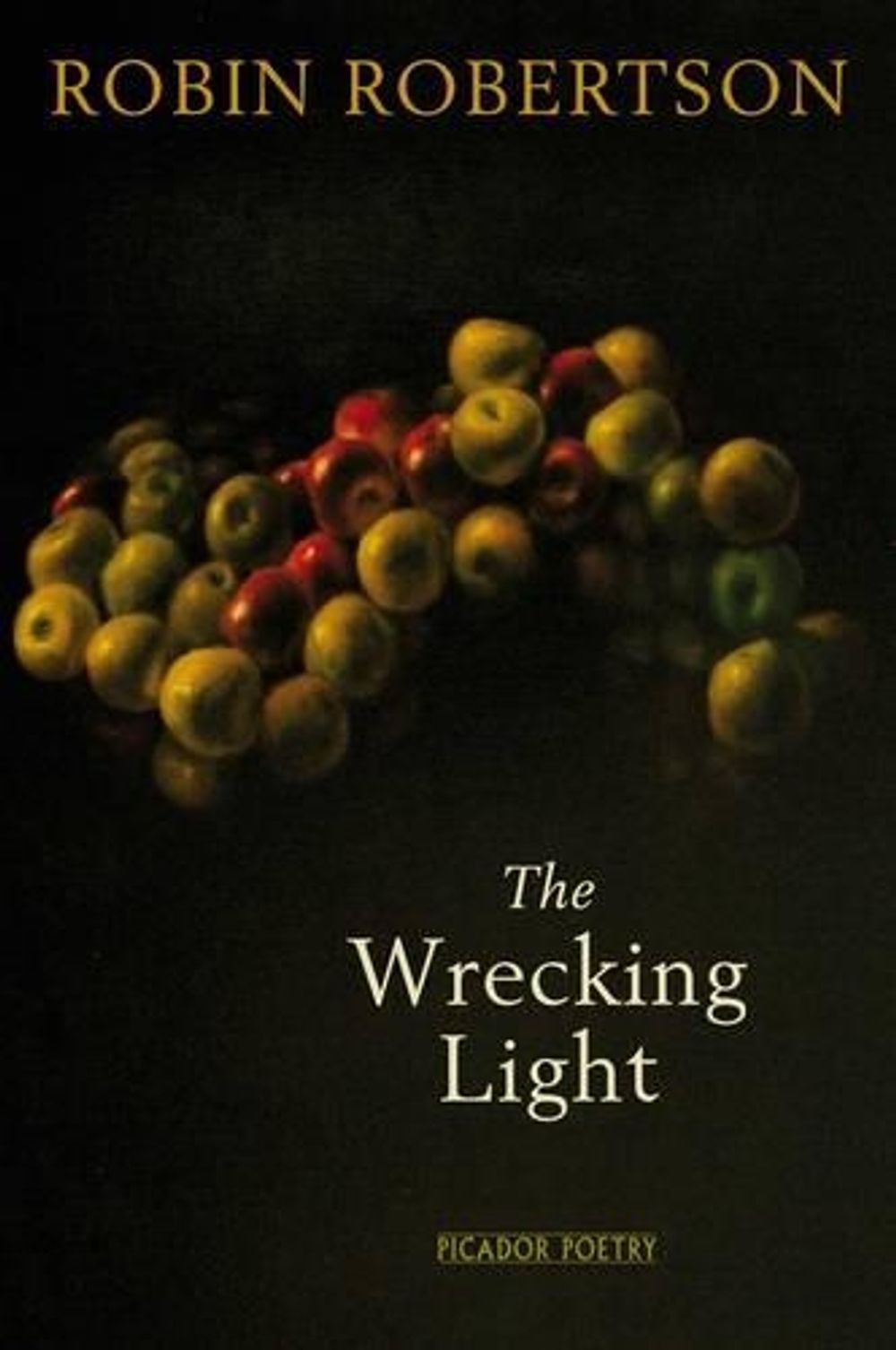 The Wrecking Light by Robin Robertson - ISBN: 9780330515481