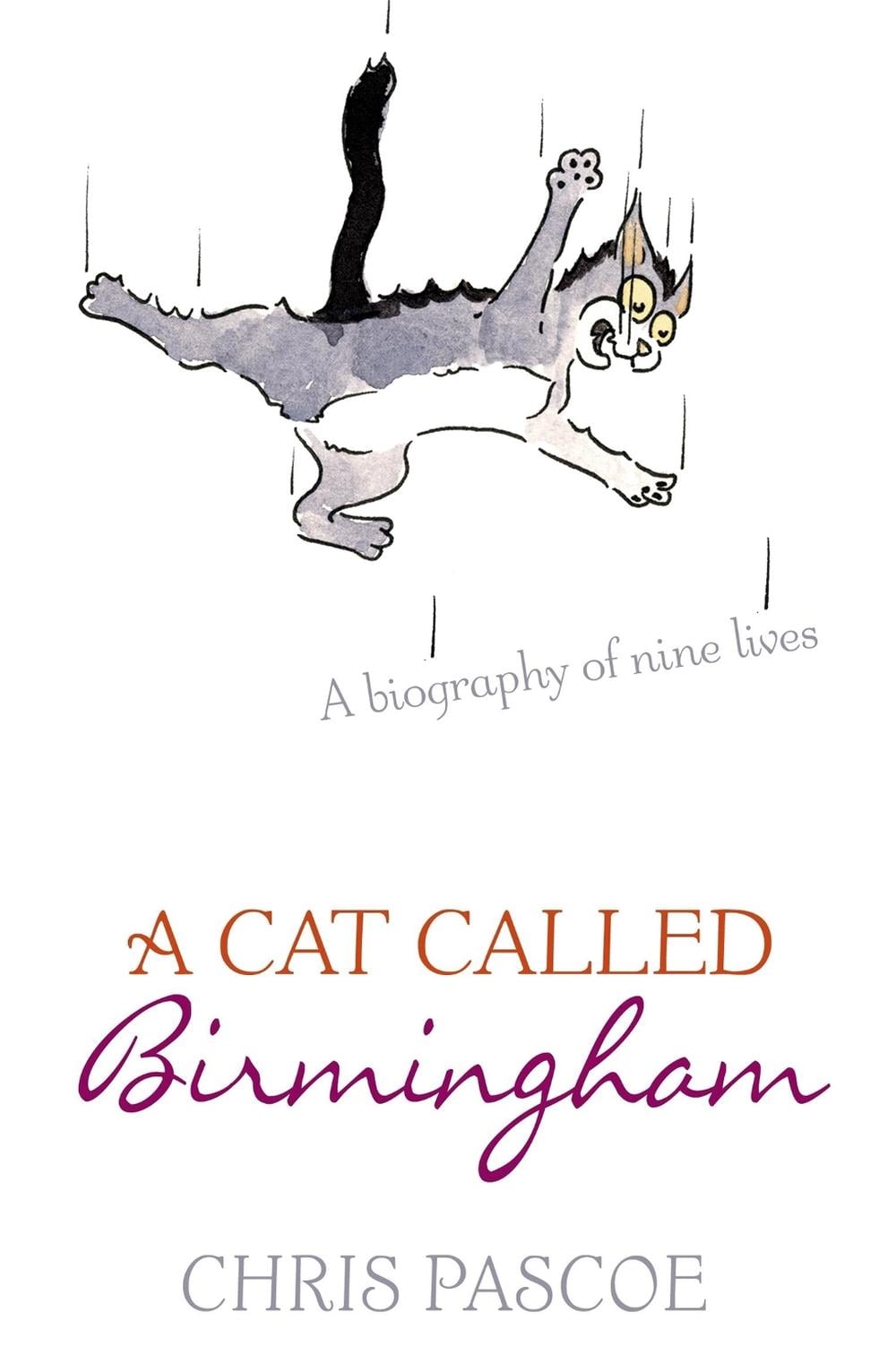 A Cat Called Birmingham by Chris Pascoe - ISBN: 9780340836071