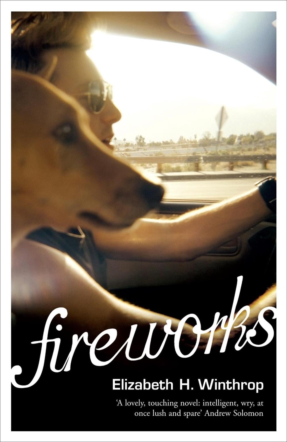 Fireworks by Elizabeth H. Winthrop - ISBN: 9780340839539
