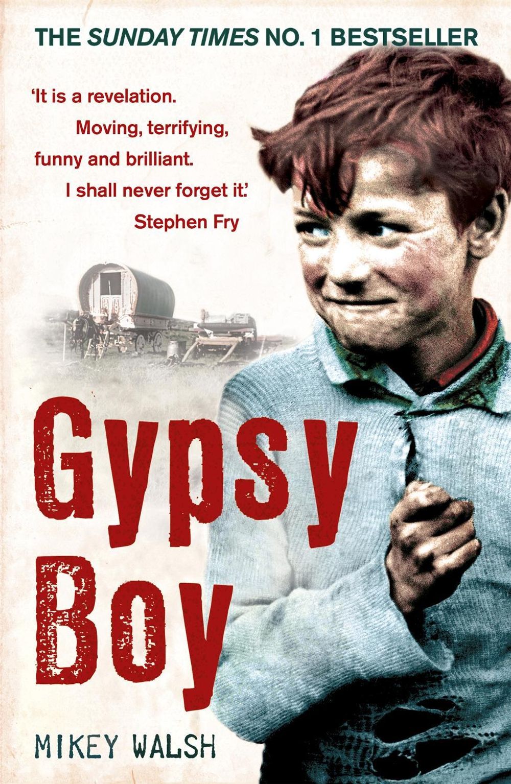 Gypsy Boy by Mikey Walsh - ISBN: 9780340977989