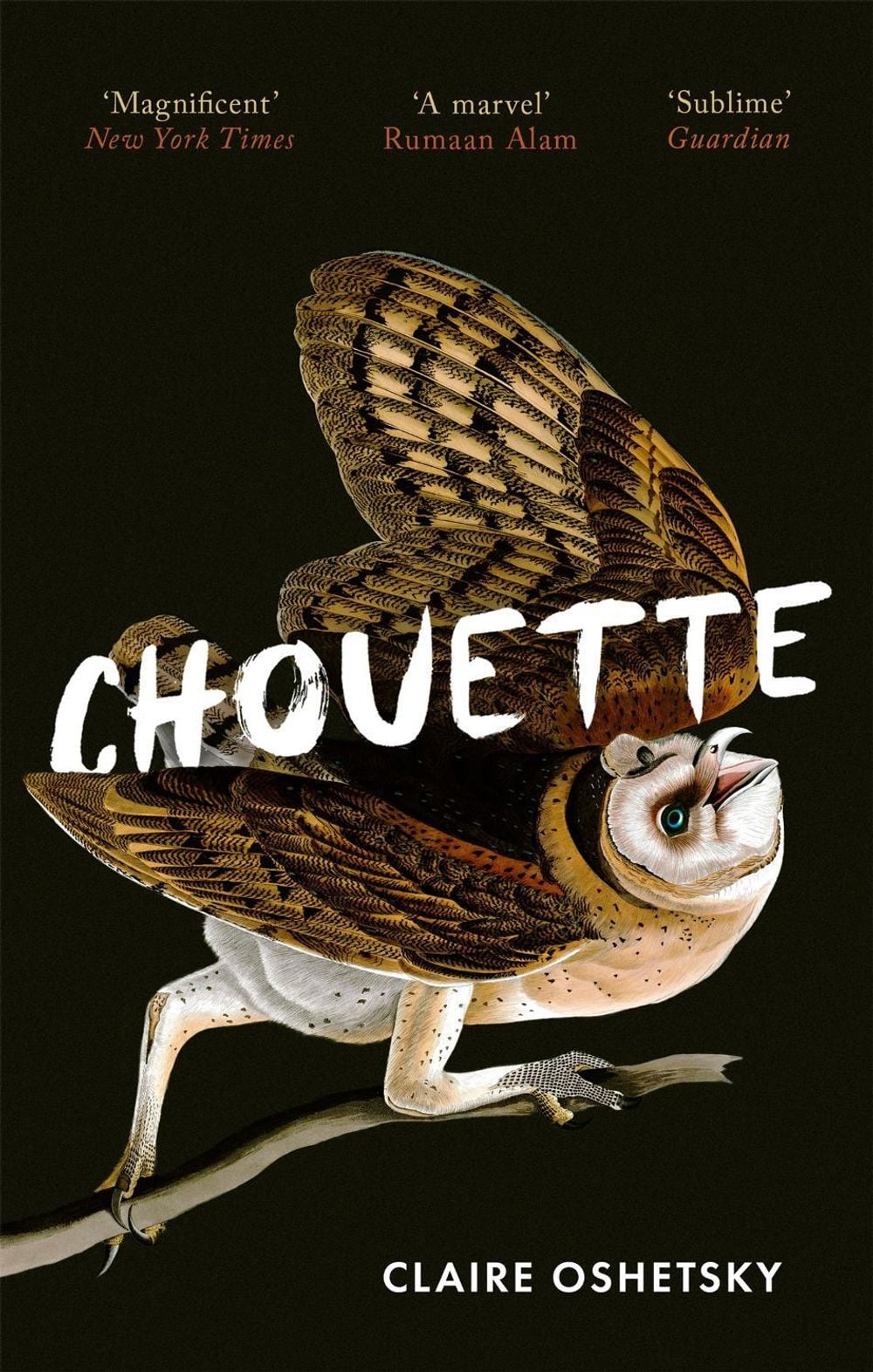 Chouette by Claire Oshetsky - ISBN: 9780349014890