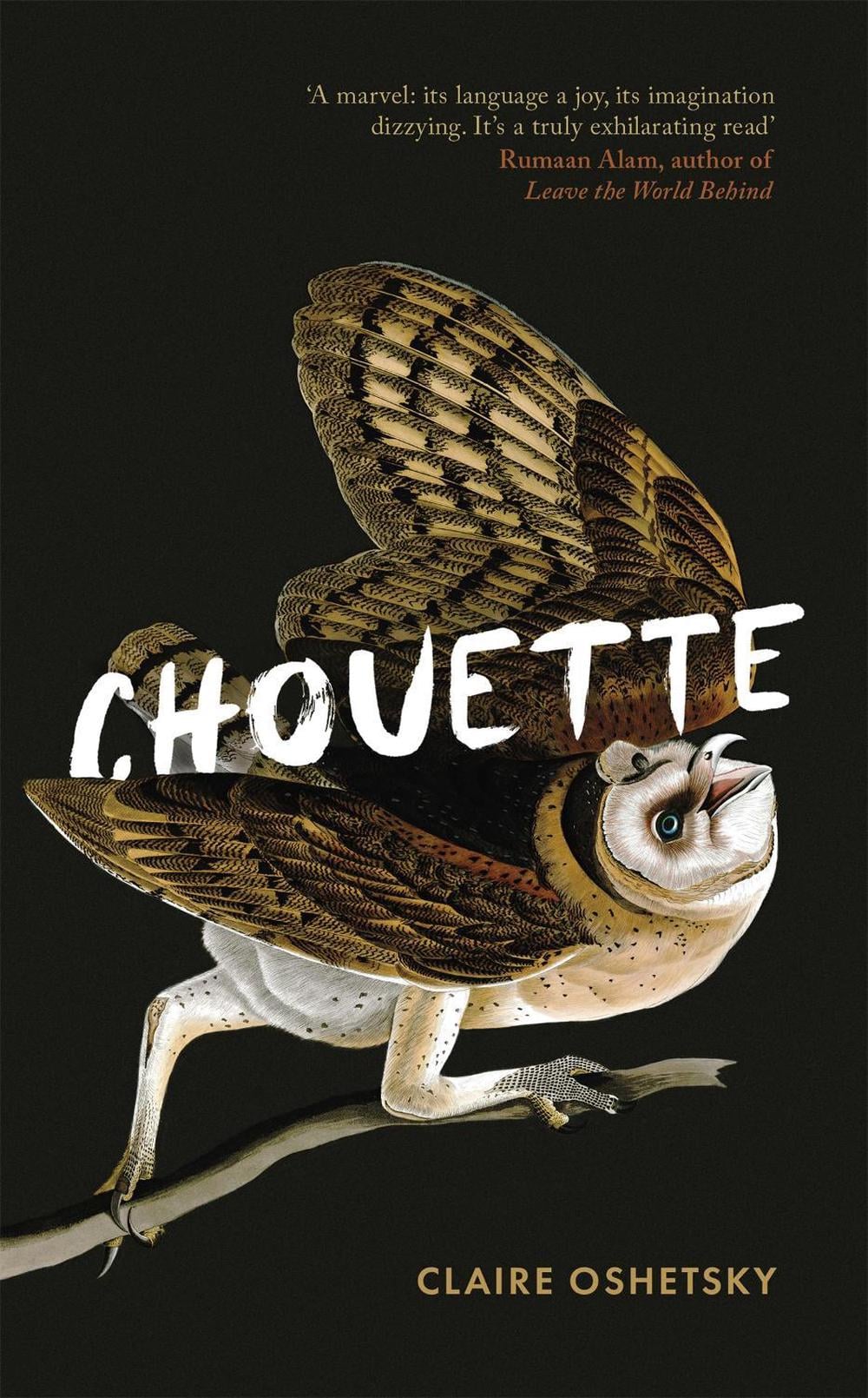 Chouette by Claire Oshetsky - ISBN: 9780349014913